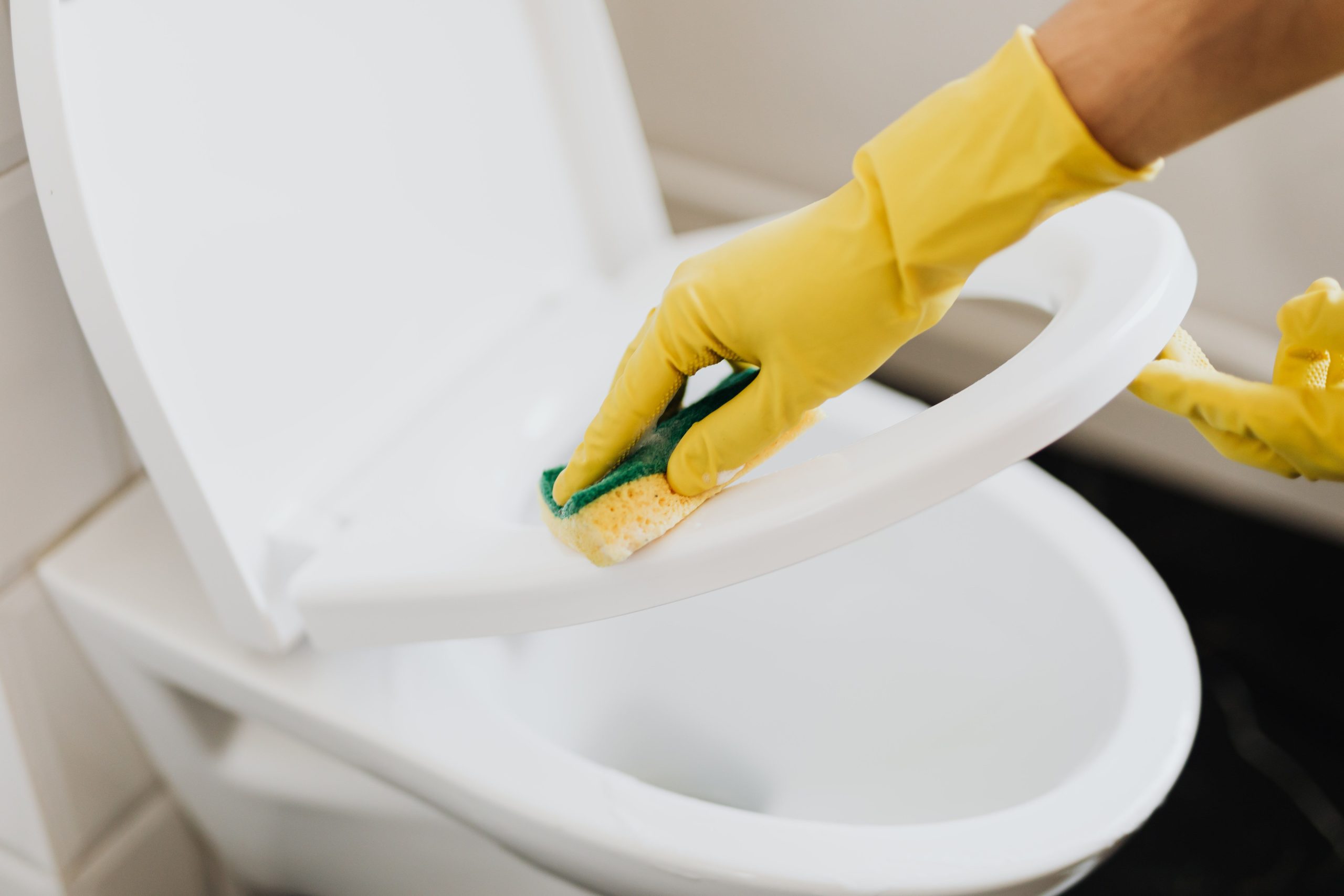 Personne nettoyant siege toilette avec eponge