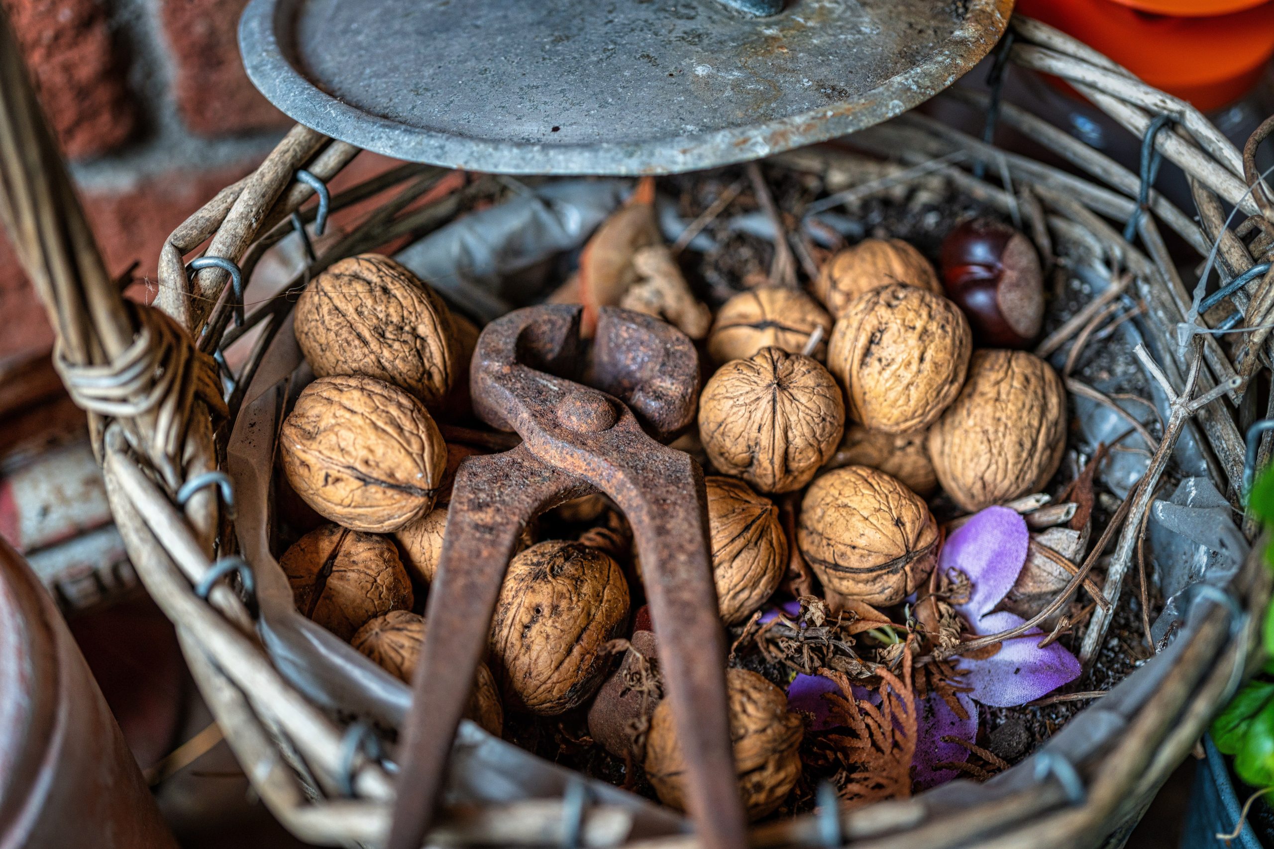 Panier rustique de noix et casse-noix vintage