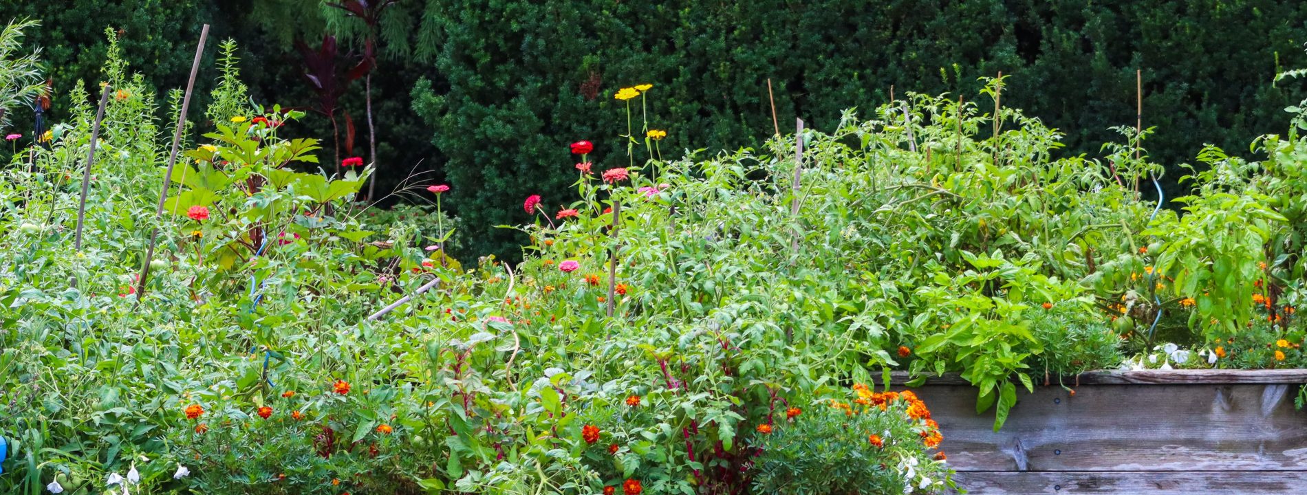 Comment remplir une jardinière haute correctement ?